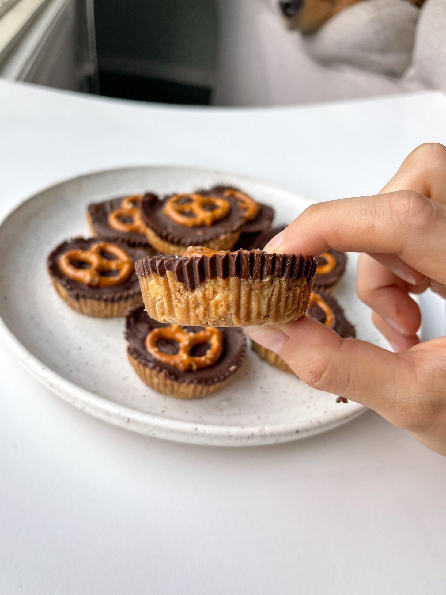 No Bake Peanut Butter Chocolate Pretzel Bites