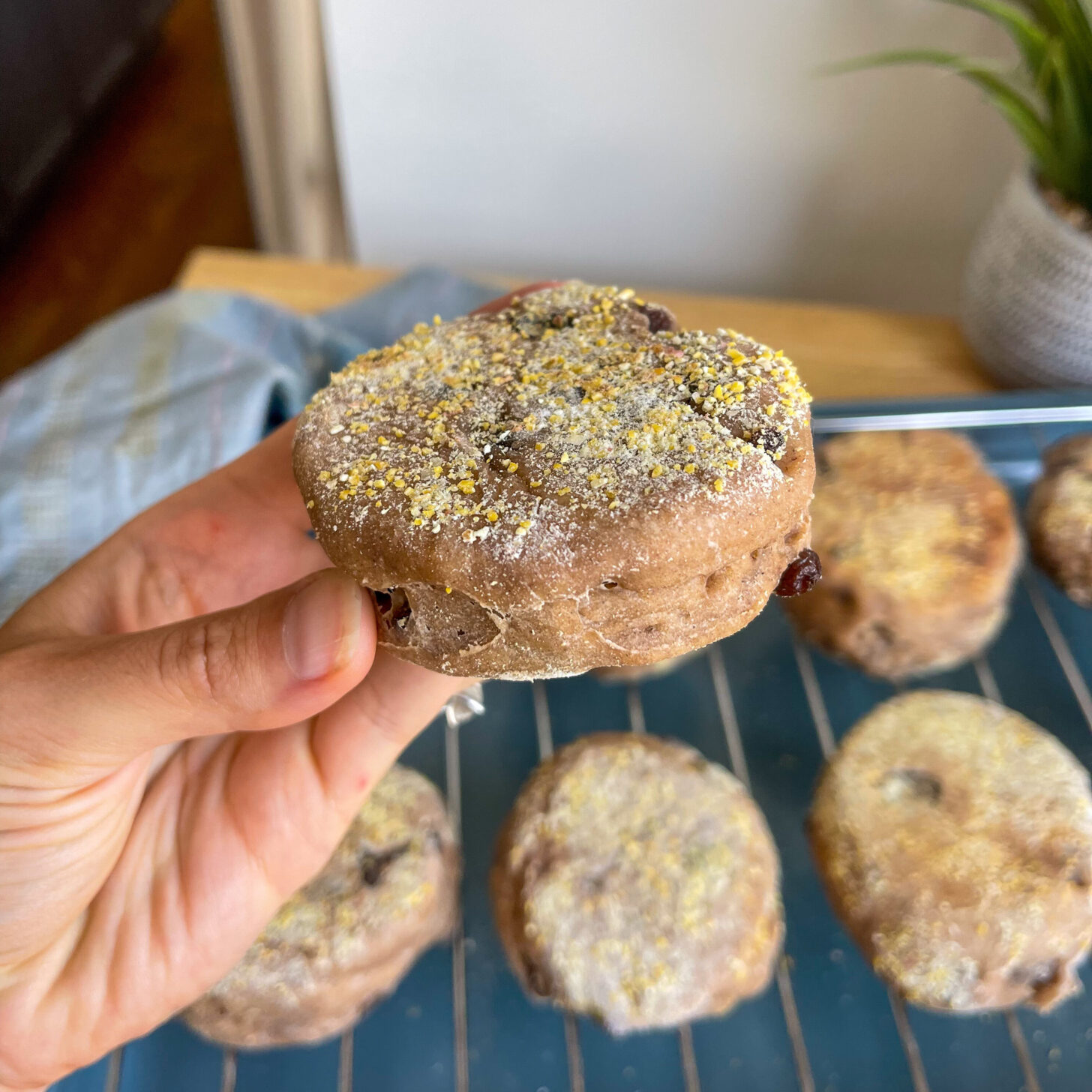 cinnamon raisin english muffins